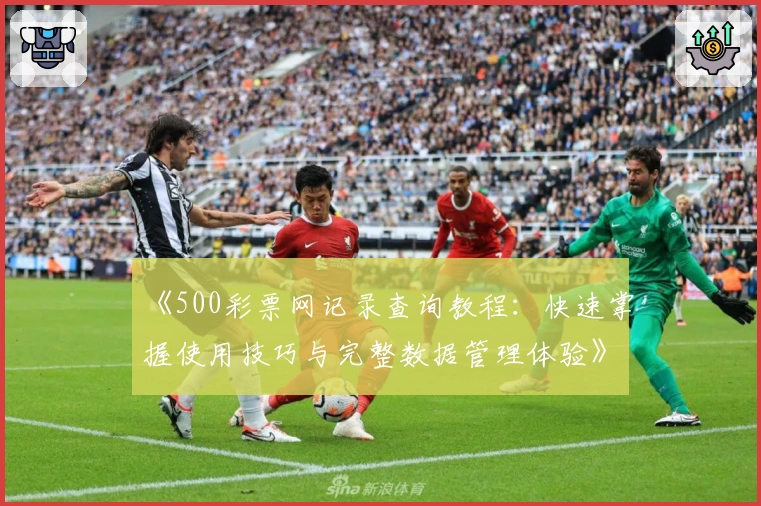 《500彩票网记录查询教程：快速掌握使用技巧与完整数据管理体验》