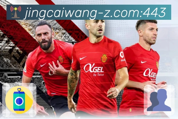 加拿大28
